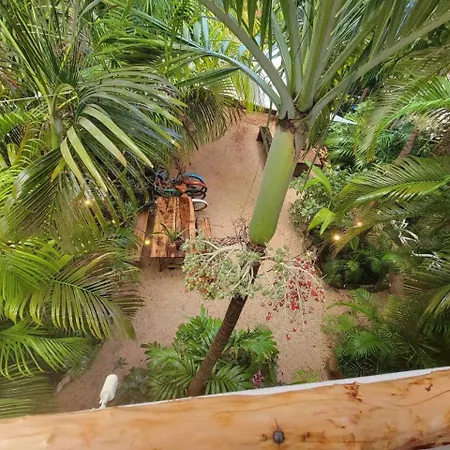 Villa La Veleta Getaway With Pool, Garden And Downtown Access Tulum