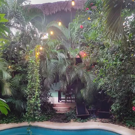 La Veleta Getaway With Pool, Garden And Downtown Access