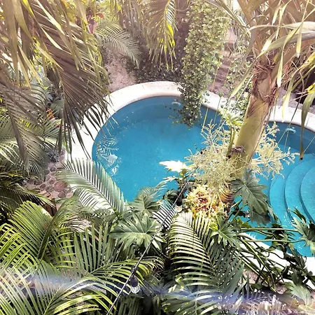 La Veleta Getaway With Pool, Garden And Downtown Access Tulum