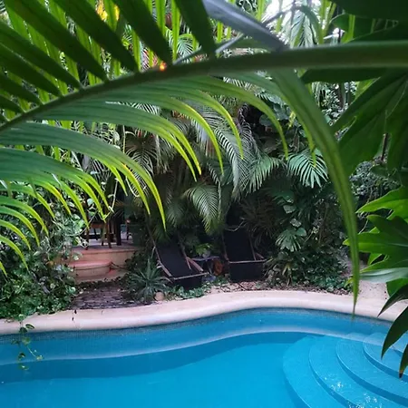 La Veleta Getaway With Pool, Garden And Downtown Access Villa *