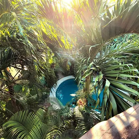 Villa La Veleta Getaway With Pool, Garden And Downtown Access Tulum
