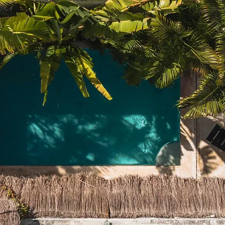 Villa Private With Pool And Garden In La Veleta Tulum