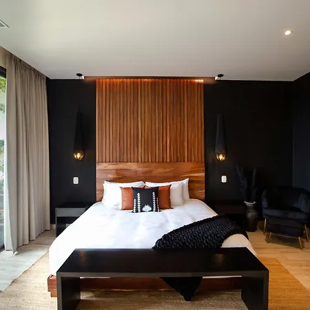 Luxury Penthouse With Private Pool, Gym Apartment *
