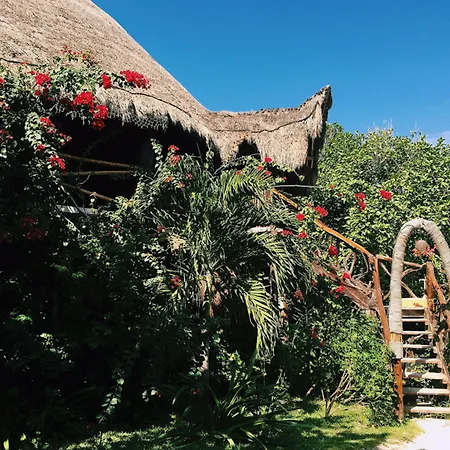 Amansala Hotel