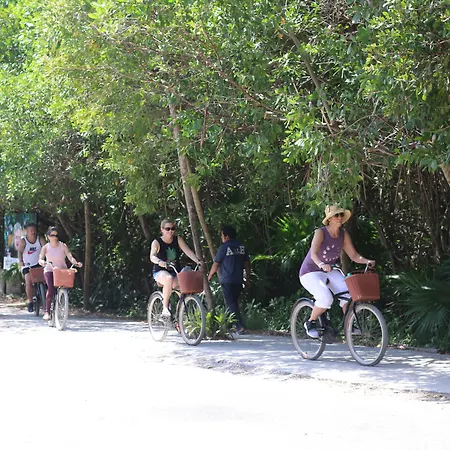 Amansala Tulum