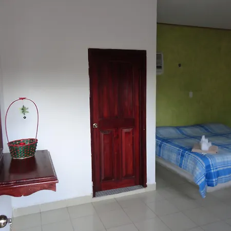 Oyo Palma Real 4*