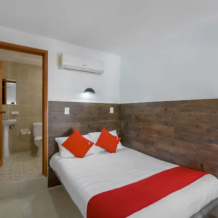 Hotel Oyo Palma Real