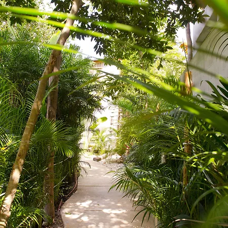 Casa Aparthotel Tulum