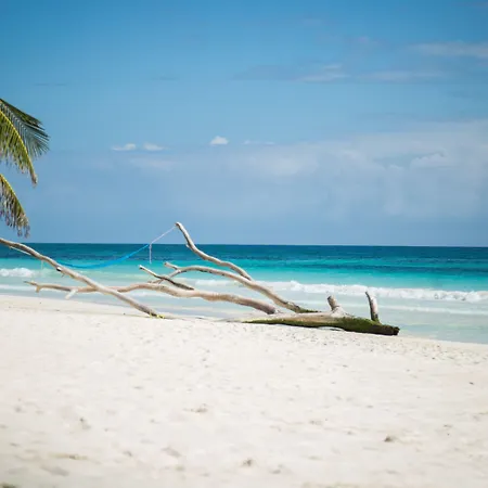 Encantada Hotel Tulum