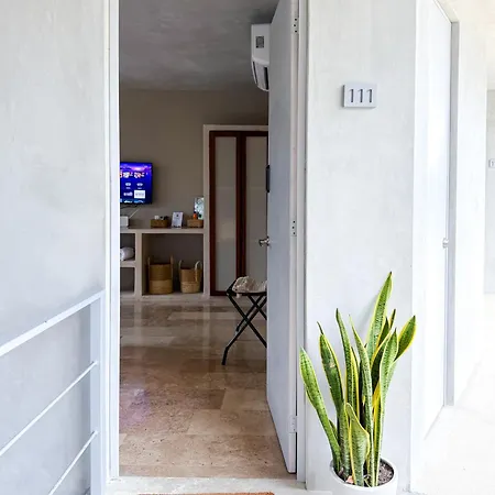 Jungle Private Pool & Grill 2 Bedroom Selva 111 *