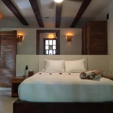 Casa Violeta