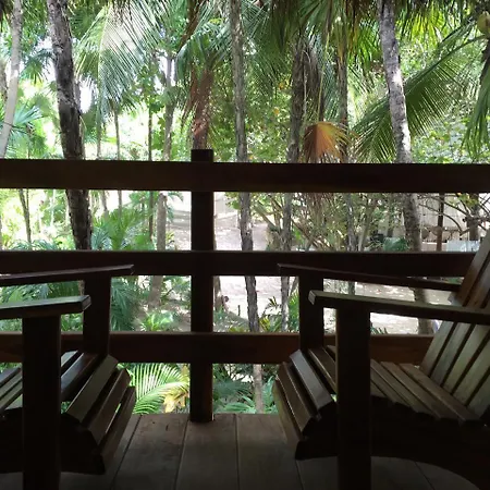 Casa Violeta Hotel Tulum