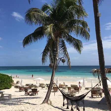 Casa Violeta Hotel Tulum