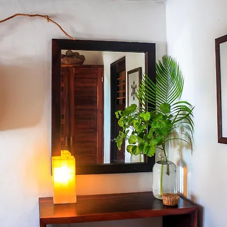 Casa Violeta Hotel 3*