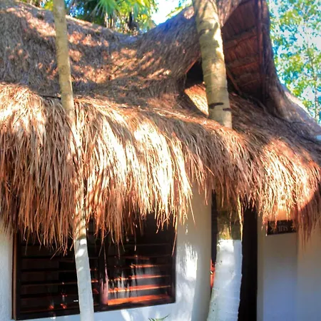 Casa Violeta
