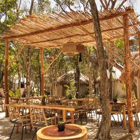 The Yellow Nest 5*