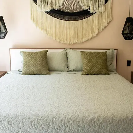 Native 4202 Lux 1br In Apartment