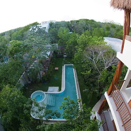 Casa 4*