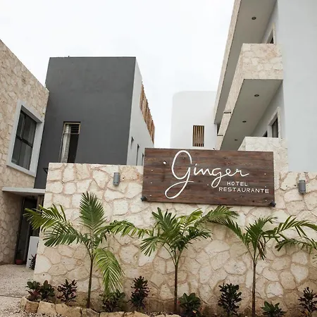 Ginger Tulum