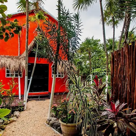 Casa Alex 100m From The Beach Holiday home