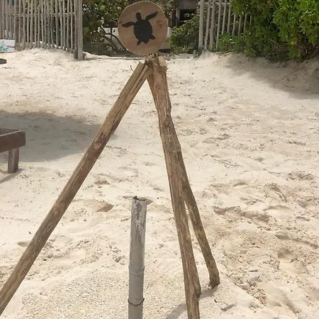Casa Carolina Tulum