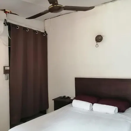 Hostel Glamping *