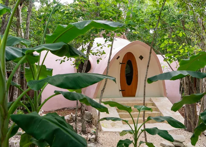 Room In Lodge - Eco-Lush Double Mayan Dome Cenote And Bikes