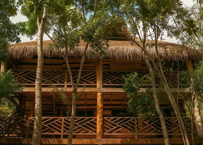 Treehouse Tulum H2Ojos