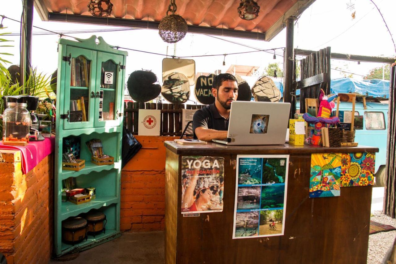 Cha Cha Cha Hostel *