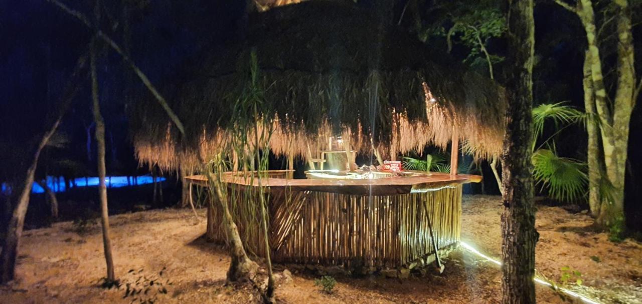 Energy Holistic Ranch *