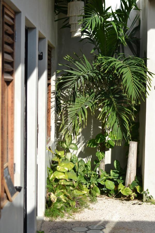 Dona Lucha Hostel Tulum