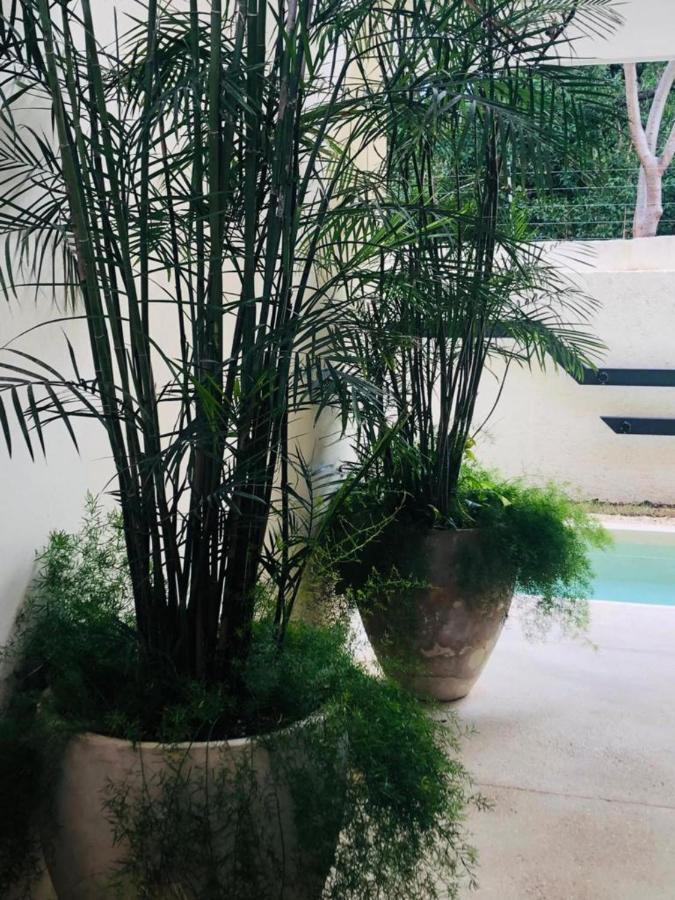 Casa Leo Tulum