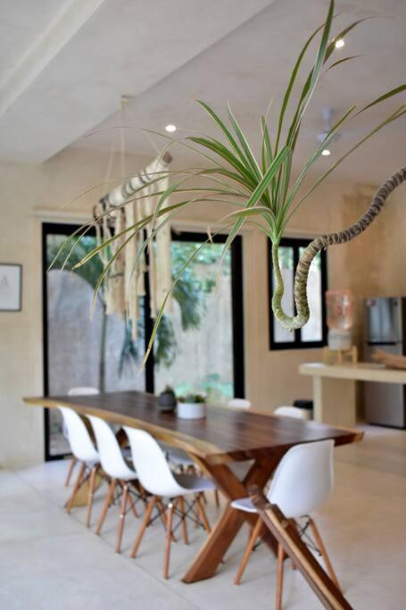 Apartment Chic-modern Apt W/pool, Garden, Parking & 3 Bikes