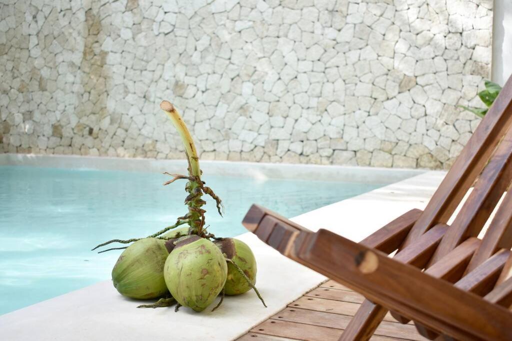 Apartment Chic-modern Apt W/pool, Garden, Parking & 3 Bikes Tulum