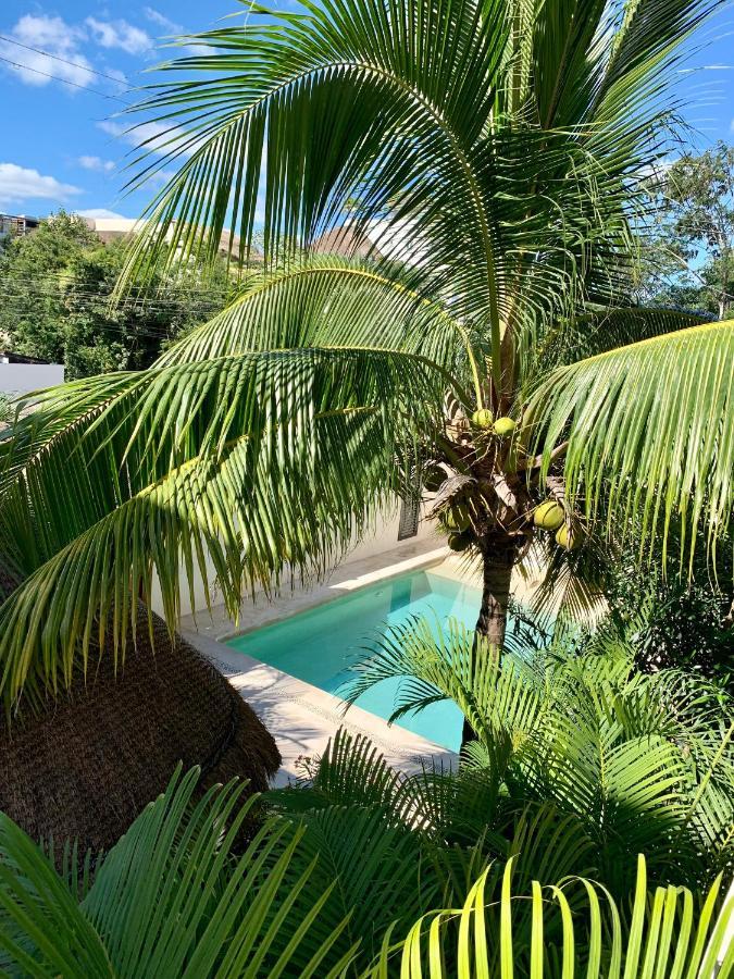 Apartment Tua Large Comfortable Pool Parking Space Tulum