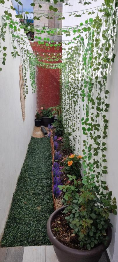 Casa Neptuno Homestay *