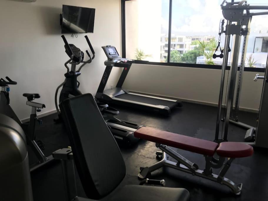 Apartment N35 Jungle Nest *