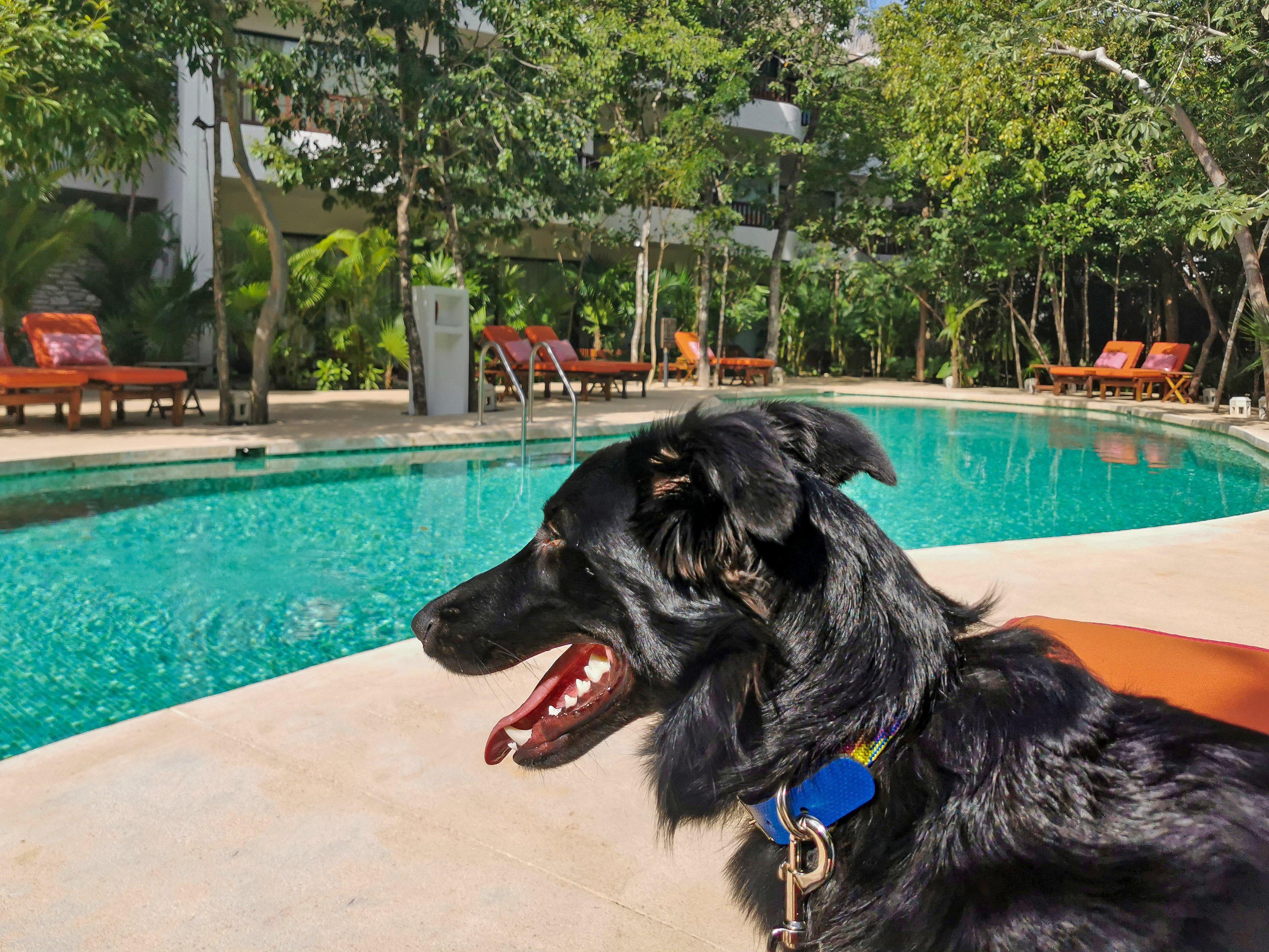 Kimpton Aluna By Ihg Tulum