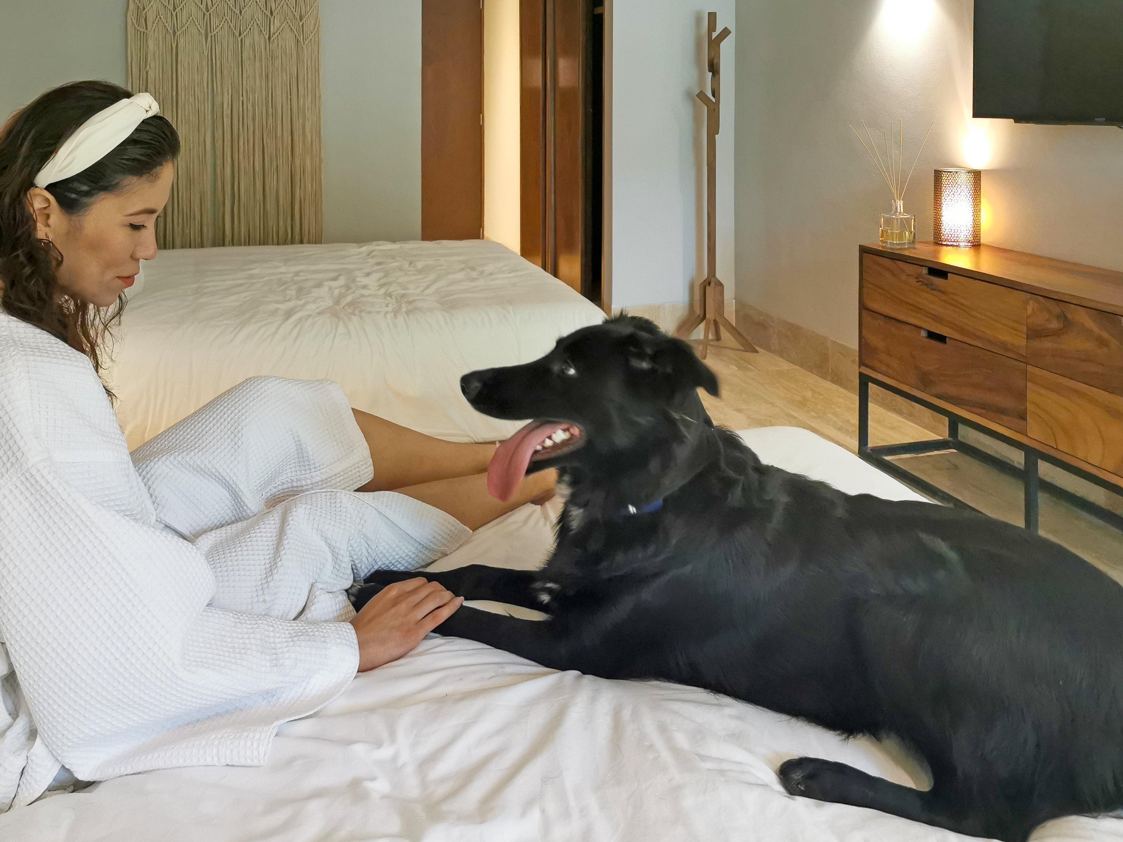 Hotel Kimpton Aluna By Ihg