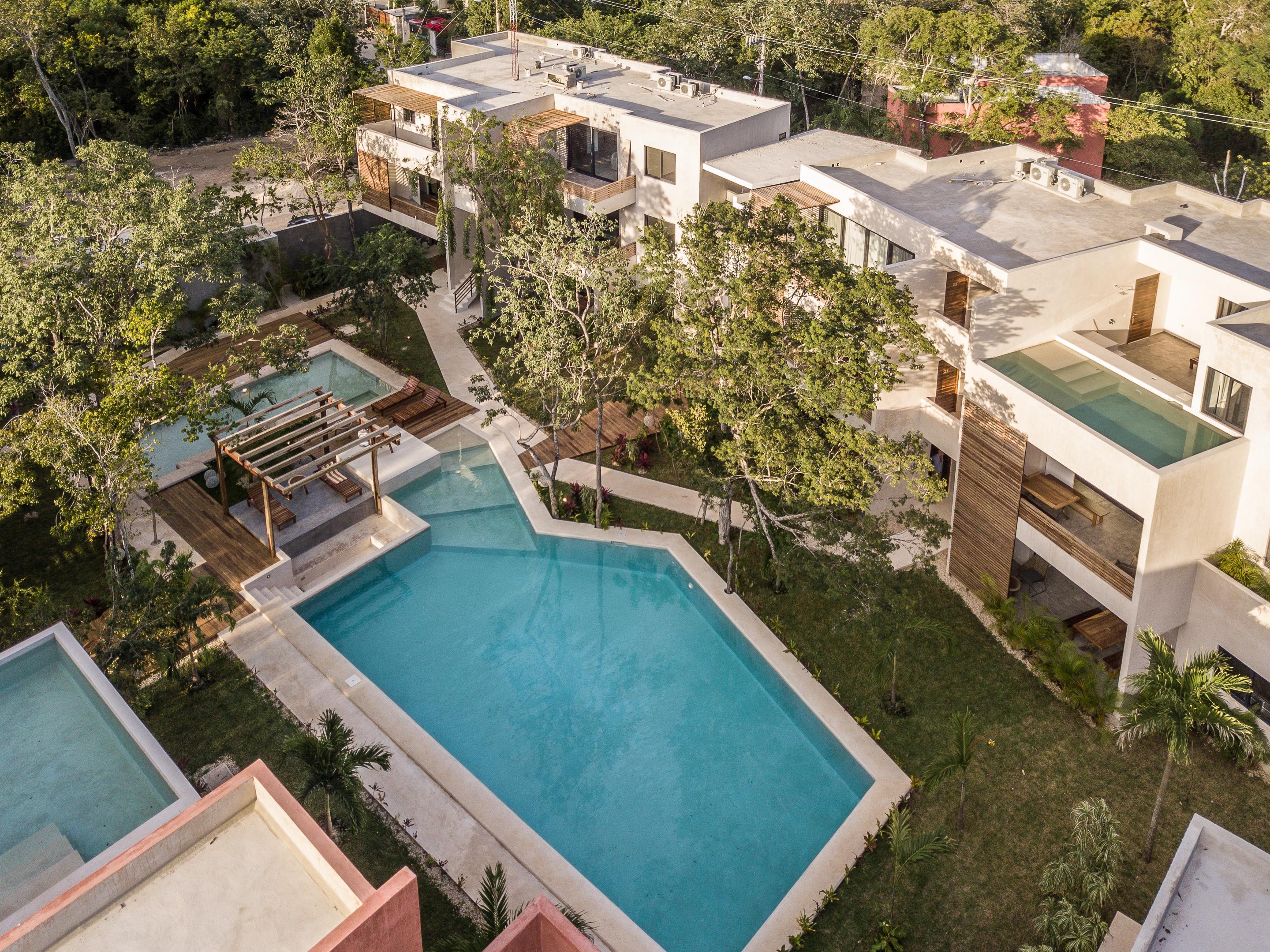 Panacea Tulum