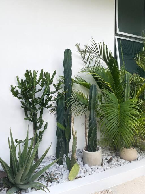 Milagro Holiday home *