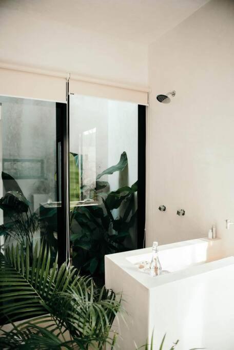 16tulum 4*