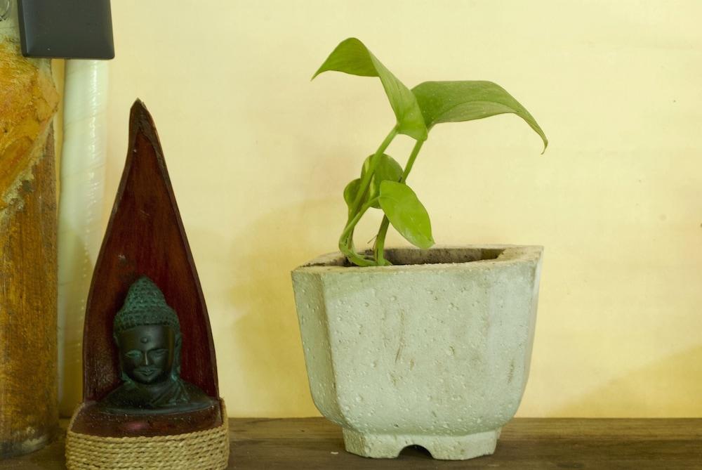 Hotel Serena Glamping (adults Only)