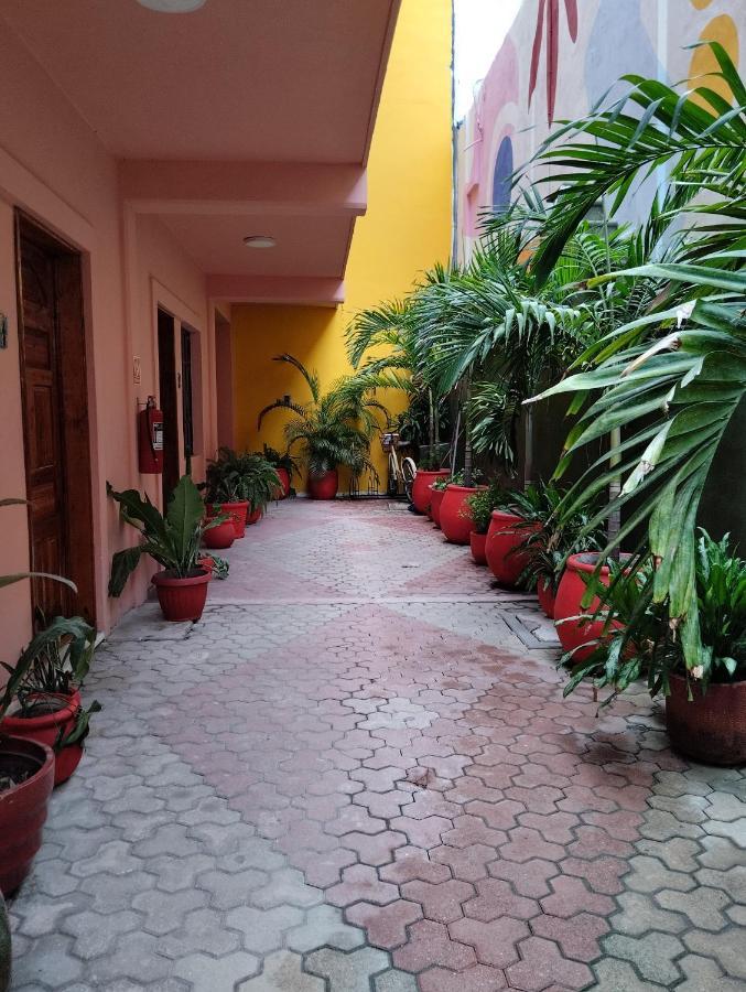 Centro, Party Hotel *