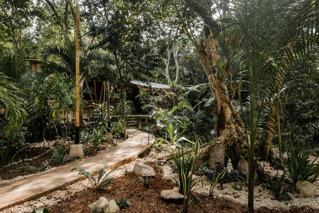 Zen Canto Tuuch :: May The Jungle Be With You Holiday home