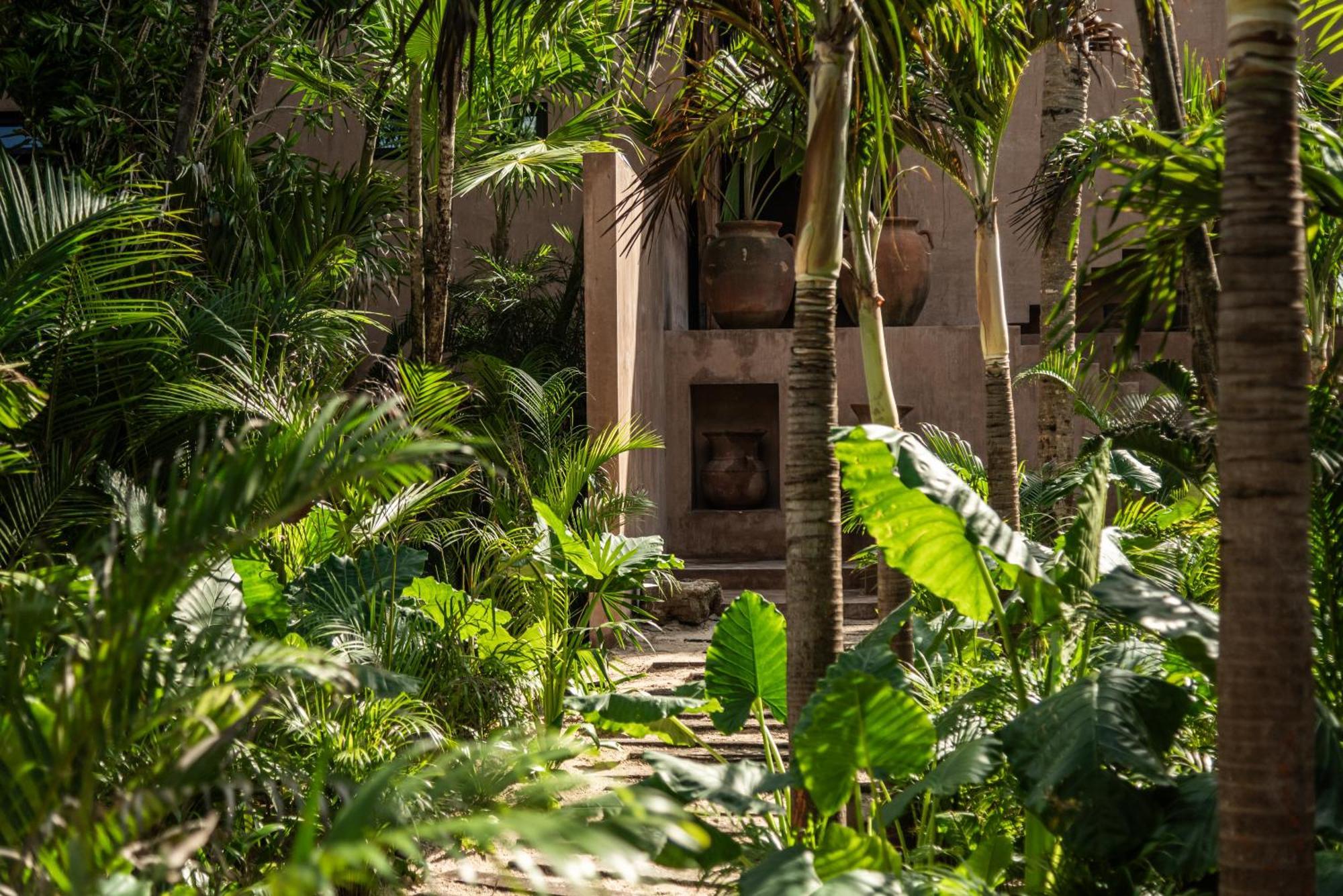 Xela Tulum, A Member Of Design Tulum