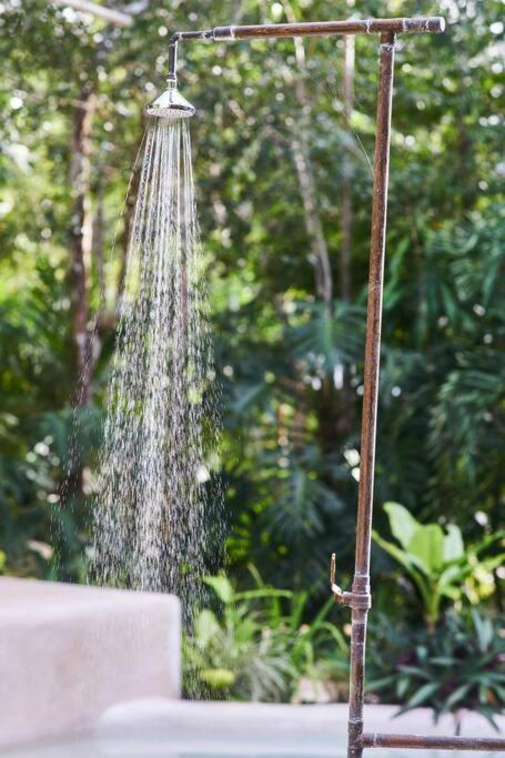 Zen Canto Tuuch :: May The Jungle Be With You Holiday home Tulum