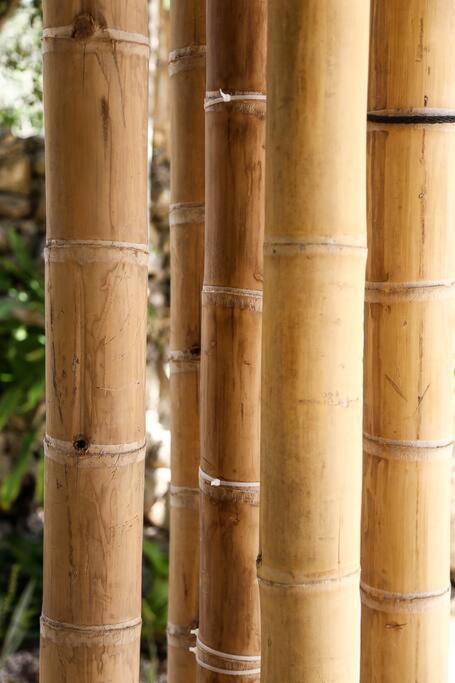Holiday home Zen Canto Tuuch :: May The Jungle Be With You Tulum