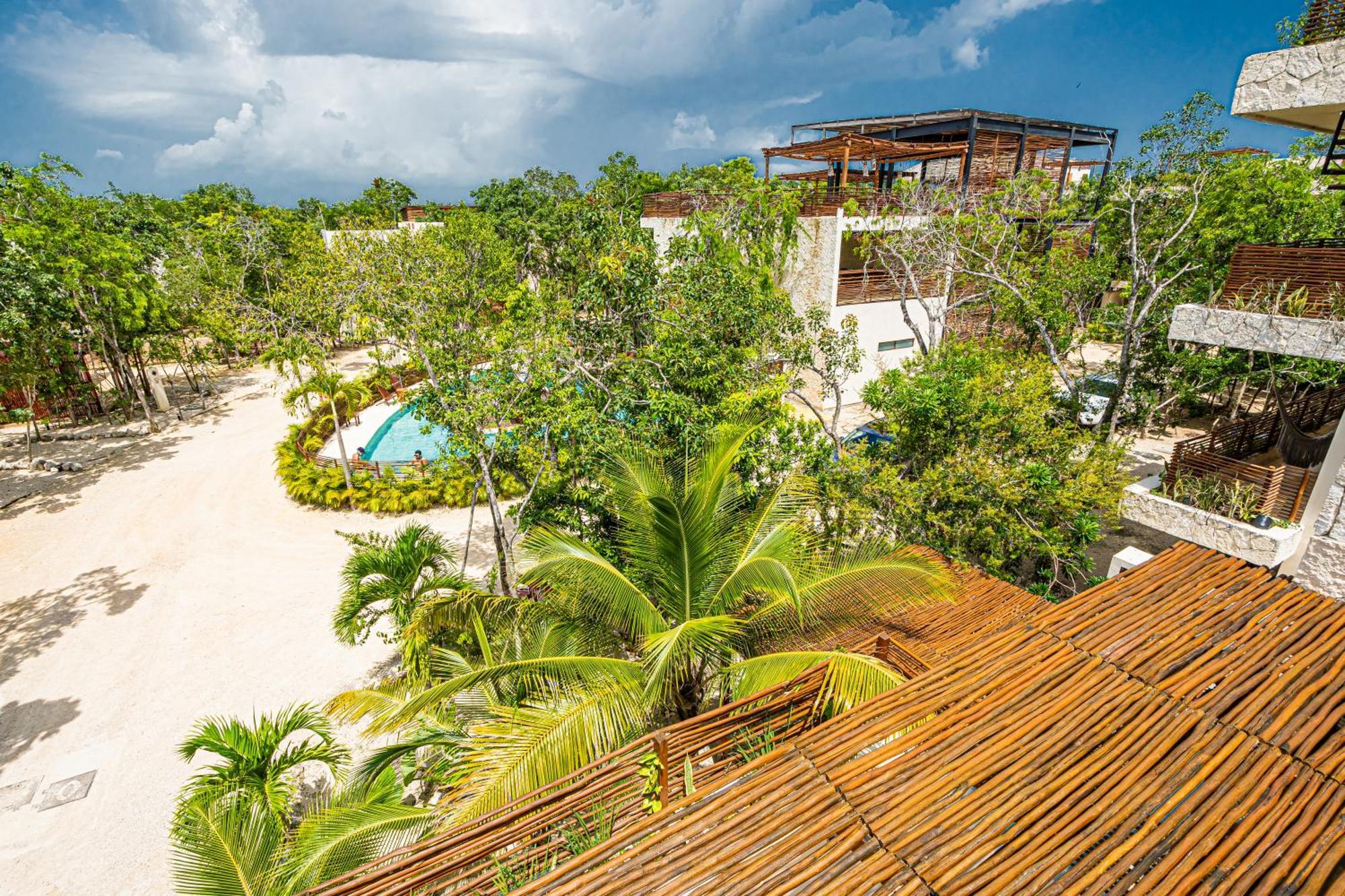 Jungle - Chakra Artbat * Tulum