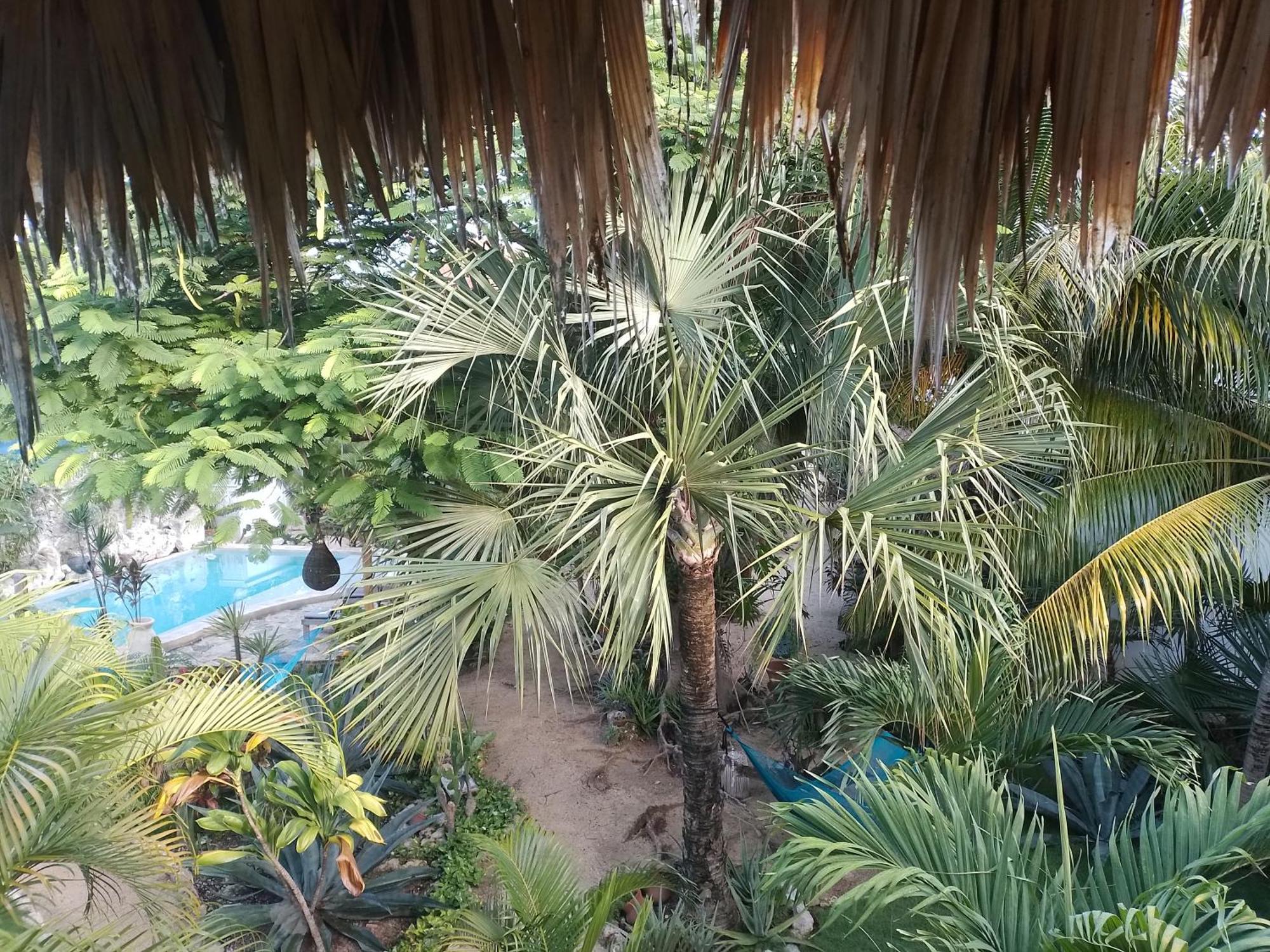 Zamunda Garden View Inn Tulum